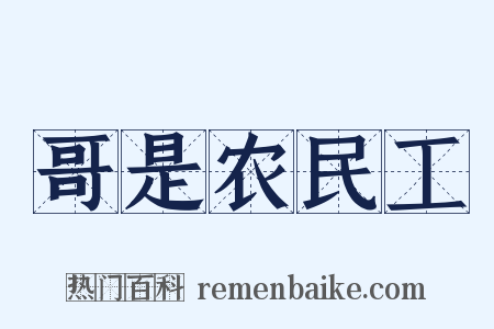 哥是农民工是什么意思的图片
